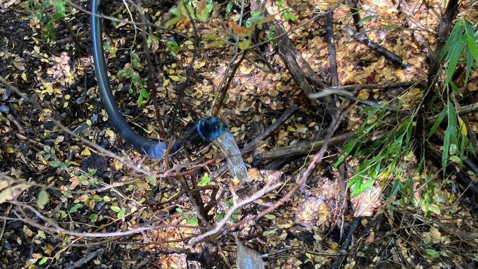Agua pura de vertiente canalizada en Sollipulli